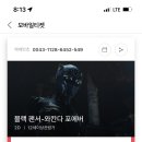 스피드정보