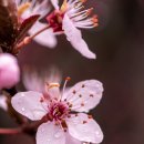 널부르는소리야 이미지