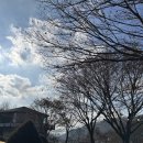 2731 | 크리스마스 이브, 포천 2731부대에 찾아온 따뜻한 선물! 🎁 커피 다과 케이터링 딜리버리 후기