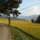 내현1리마을회관 이미지