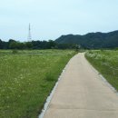 반변천교(송천동) 이미지