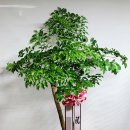 대박기원농장 이미지