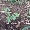 구억농장 이미지