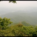 산골산내음 이미지