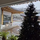 무주무1길 | 안동 미식 투어 1박2일 2️⃣ 안동맛집, 안동숙소 추천 (전통리조트 구름에, 구름에 396커피, 기록상점 낯선...