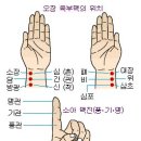 맥박과 맥진법 이미지