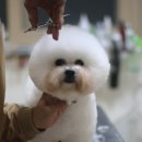 레이지포 이미지