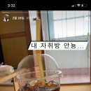 그린빌민박 이미지