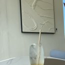 윈드원