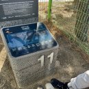 정난주마리아묘? | 제주 올레길 11코스 | 모슬봉 | 무릉곶자왈