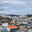 중앙동215 이미지