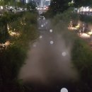희망코리아 주식회사 네이버블로그