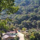 와운통나무산장가든 이미지