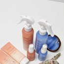 올리브헤어 | 12월 올영세일 올리브영 추천템 헤어플러스 극손상모 에센스 후기