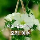 신실한 사람 이미지
