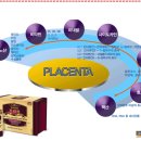 필그린인카운터 - 가평군 | 필그린인카운터