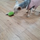 샛별보육원 이미지