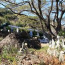 한산초등학교비진분교장 이미지