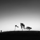 바람이지나간자리 이미지