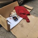 견생공감 이미지