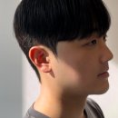 포레스트헤어 이미지
