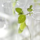 클라리언트코리아 주식회사 이미지