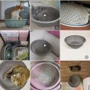 다이소 1000원 소쿠리 후기.jpg 이미지