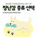 AMI PET 이미지