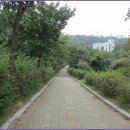 서리풀길 14 이미지