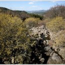 구례LPG충전소 이미지