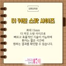 전다이브이