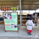 초기목장 이미지