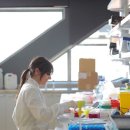 research (리서치, 연구, (뭔가를 찾고) 있었지) 어원 이미지