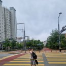 충북병원 | 12살 아이 새벽 경련 충북대학교병원 뇌파검사 후기