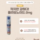 라이프트리 | 센스 있는 설날 선물 고민 끝, 종이백까지 완벽한 프로폴리스