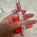 건강해봄 | 다이소립제품 태그듀이 본셉틴트 봄웜톤 내돈내산 비교후기