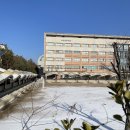 낙생초등학교.판교원마을10단지 이미지