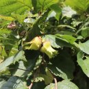 석탑리경로당 이미지