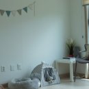 도그엔조이 이미지