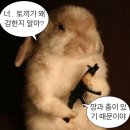 [주렁주렁 영등포] 20-30개월 사이에 2030 성인남녀 합석한 썰(feat.타임스퀘어 실내 동물원)