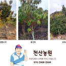 수종농장 이미지