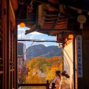 뜰과풍경 이미지