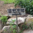 골안민박 이미지