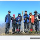 명성통상 이미지