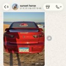 홍해바다 | [이집트] 후루가다 홍해 승마 sunset horse ranch hurghadaㅣ바다에서 말타고 수영한 후기