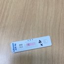 [34개월 1061~1068]유하 A형 독감, 11시 야근, 제주여행 중 독감, 서커스, 번네식당, 한우파티, 장모식탁