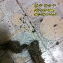 그린아파트 A동 이미지