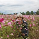 구리한강시민공원 이미지