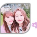 가로텍 이미지