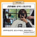느티나무길 | [공지] 성복역 미용실 리안헤어 성복느티나무점 두피도 스타일도 만족, 염색 단발컷 솔직후기